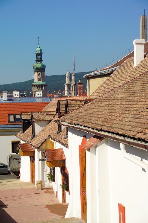 Vinosseum Bor- Es Apartmanhaz Ödenburg Exterior foto